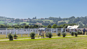 88 of 90 horses deemed fit to compete at the 2025 Longines FEI Jumping European Championship