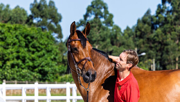 Trotting up at the Longines FEI Jumping European Championship 2025