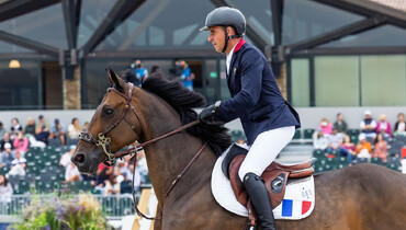 Donatello d’Auge tops the 2025 WBFSH Breeder Ranking for 6th consecutive month