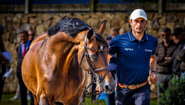 All horses accepted at the second horse inspection in A Coruña