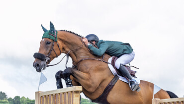From youngster to international Grand Prix horse: Qonquest de Rigo