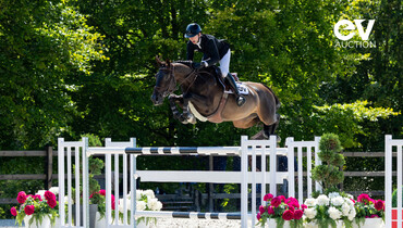 Equinia presents 'EQUESTRIAN VALLEY AUCTION', an elite performers and hunter prospects auction