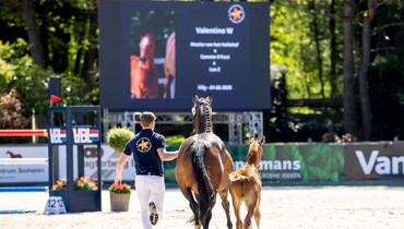 Foal Auction Prinsjesdag x CSI Houten: From European gold medalists to half-sister to Chacco-Blue