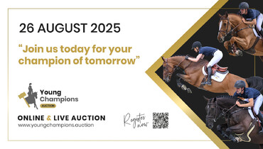 Young Champions Auction – Discover the 2025 collection of ridden talents