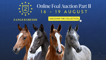 Olympic & Grand Prix glory – Bidding has started for Zangersheide Online Foal Auction Part II, running from 16-19 August