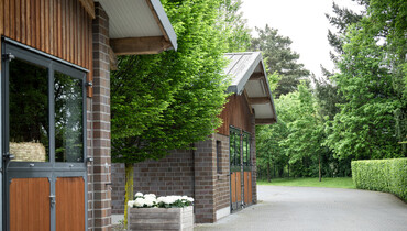 Exclusive show jumping stable in the heart of Germany with free stable wing for rent