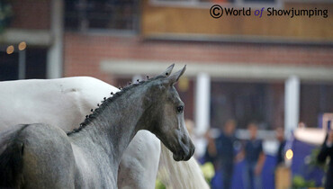 Snapshots from the ESI auction