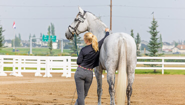 What's on in the jumping world – Week 36, 2025