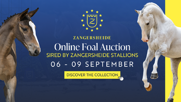 Zangersheide’s final online foal auction of the season: Exceptional foals sired by the iconic Zangersheide stallions