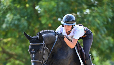 Discover the Parido Auction’s unprecedented collection: 12 Grand Prix horses and future GP prospects will be auctioned at the CSIO5* of Polo Club Saint Tropez by Ekestrian on Friday September 19th