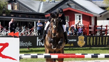 Advertisement; “DSHS-horses perform superbly all over the world. You can’t avoid that fact”
