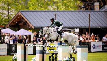 My Lady LaVista to Janne Friederike Meyer-Zimmermann