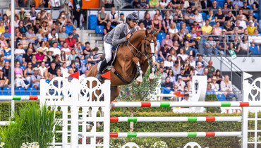Artemis Farms acquires DSP Oganero P for Rodrigo Pessoa