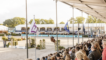 Zangersheide celebrates 30th anniversary of the FEI WBFSH Jumping World Breeding Championship for Young Horses in Lanaken