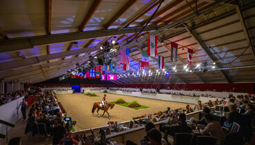 Dutch Sport Horse Sales ambassadors showcase global success ahead of 2025 auction
