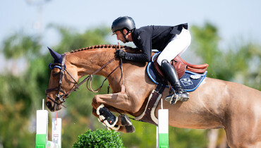 After 97 international wins, Harold Boisset’s super-mare T’Obetty du Domaine retires from the sport