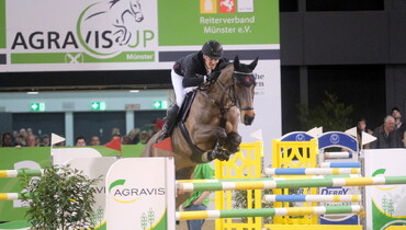 Westphalian OnLive Autumn Auction 2025 for riding horses on October 5th in Münster-Handorf