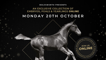 Bolesworth Elite Auction, presented by Carrera Stud -  20th October 2026