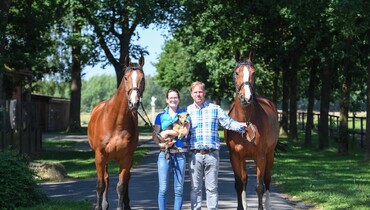 Where to rear your youngsters? Availability at Stud Stiekema's five-star facility