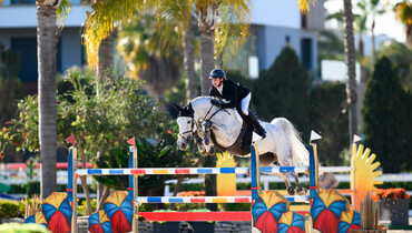 Okapi van het Schaek joins Karl Cook’s string of horses