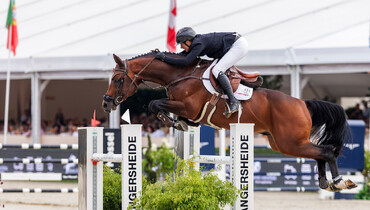 Coolmore Showjumping acquires Earl of Alice for Tom Wachman