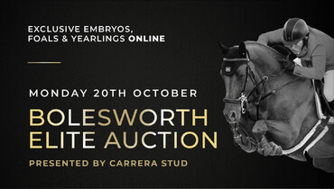 24 hours to go! Bolesworth Elite Auction, presented by Carrera Stud