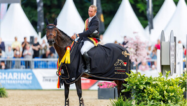 2nd Verden High Level Auction – November 8, 2025 – Top-class show jumpers for ambitious riders