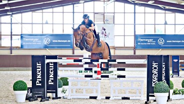 Holger Hetzel’s 20th International Sport Horse Sales - Top lots and anniversary surprises