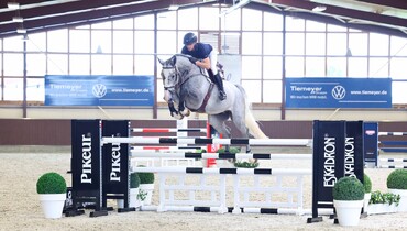 Playboy – the perfect name for a horse that steals the show