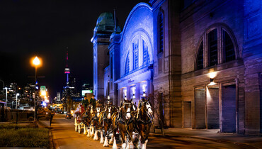Highlights from The Royal Horse Show 2025