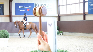 20th Holger Hetzel Sport Horse Sales – 20 years of trust and success