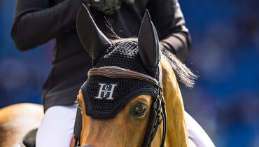 That Special Bond – with Harry Charles: “Sherlock’s like a pet, and the most affectionate horse – a yard favourite”