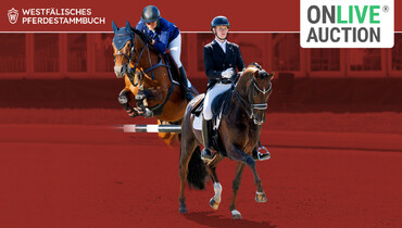 Today: OnLive Auction during the Westphalian Main Licensing for riding horse stallions 2025 in Münster-Handorf