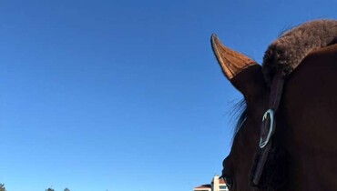 The WoSJ Blog – From LAX to CHI Geneva with Tessa Falanga