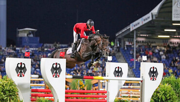 Balou du Reventon and Tobago Z to Studfarm Zangersheide