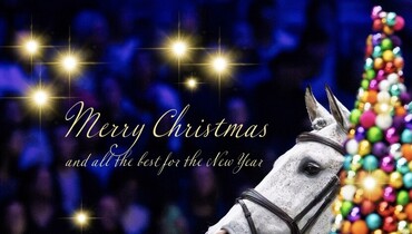 Merry Christmas, Happy Holidays!
