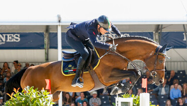 Farewell to Armitages Boy