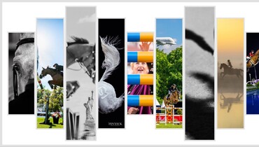 The favourite photos of 2025