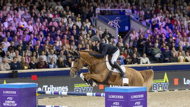 The debutante of the year – Qalista DN and Gilles Thomas triumph at magical Mechelen