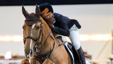 Farewell to Edwina Tops-Alexander’s Socrates