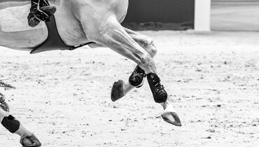 FEI issues Middle East travel advisory, allows competition to continue in Doha
