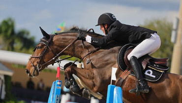 Porter brothers trade off wins at Wellington International