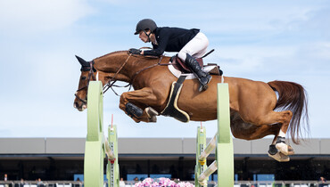 Seppe Wouters and Quito de Mariposa outshine their elders in the CSI3* 1.50m CHG Grand Prix at Oliva Nova
