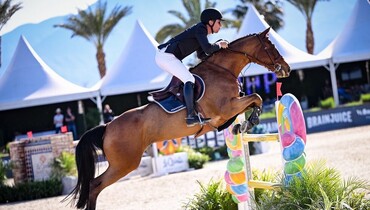 Karl Cook gets a Home-Run in $63,000 Visit Greater Palm Springs CSI2* Grand Prix
