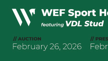 VDL Stud is back in Wellington with the WEF Sport Horse Auction