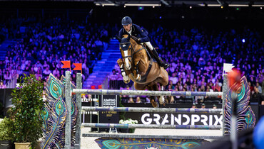 Daniel Deusser and Bingo Ste Hermelle second to none in Saturday’s CSI5*-W 1.45m Prix Antares Sellier in Bordeaux