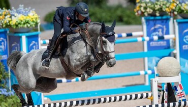 From genetics to gold: Genesis Horse Breeding sparks a surprise with the launch of its 2026 catalog