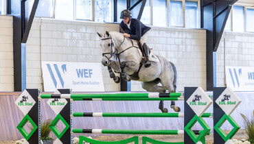 Today: Live presentation of the collection WEF Sport Horse Auction