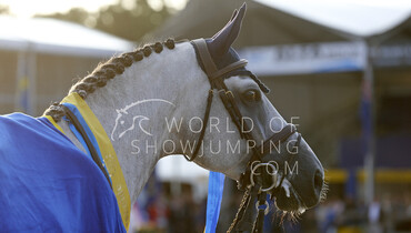 Images | Moments from the FEI World Breeding Jumping Championships