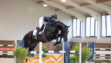 The World Sport Horse Sales auction presents its most versatile and talent-packed collection for the fourth edition